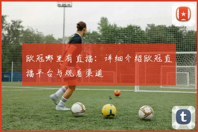 欧冠哪里有直播：详细介绍欧冠直播平台与观看渠道