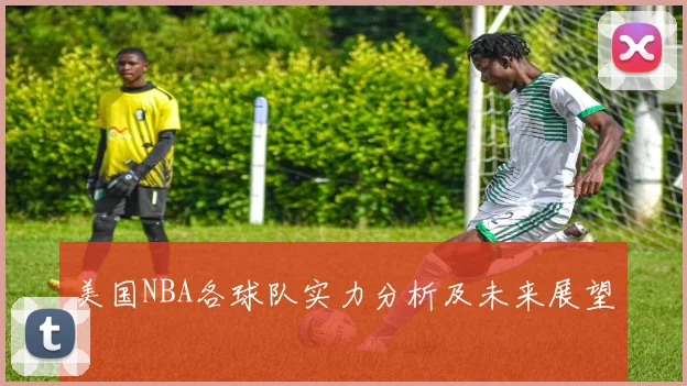 美国NBA各球队实力分析及未来展望